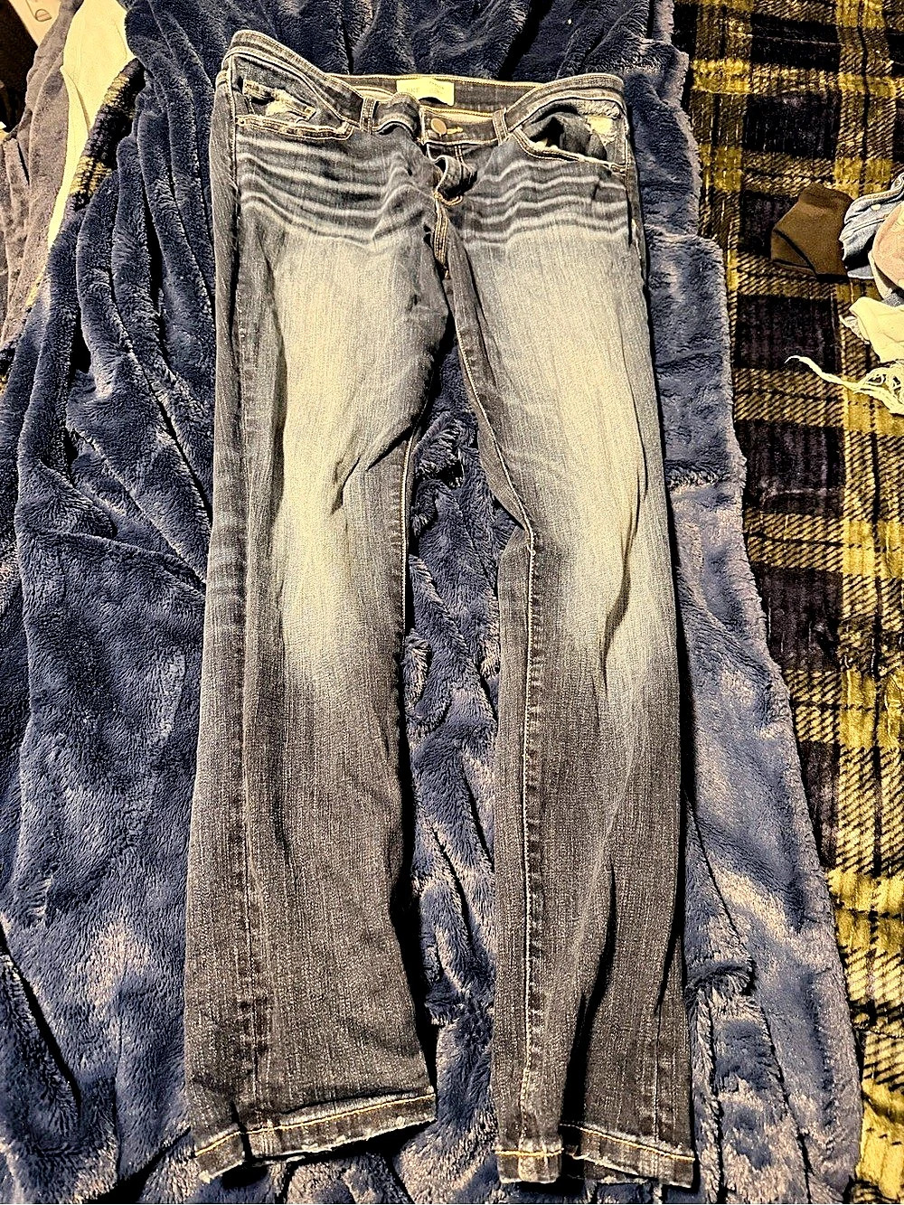 BKE Payton Jeans
